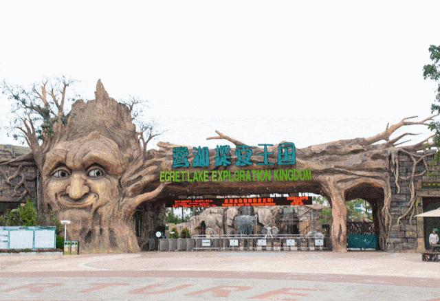 小游最新，带你领略独特世界之旅