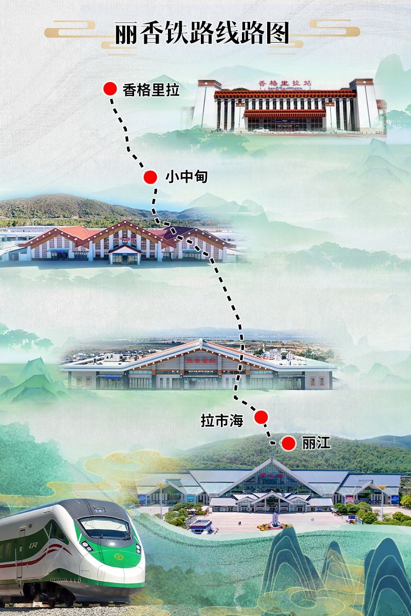 进展与影响分析