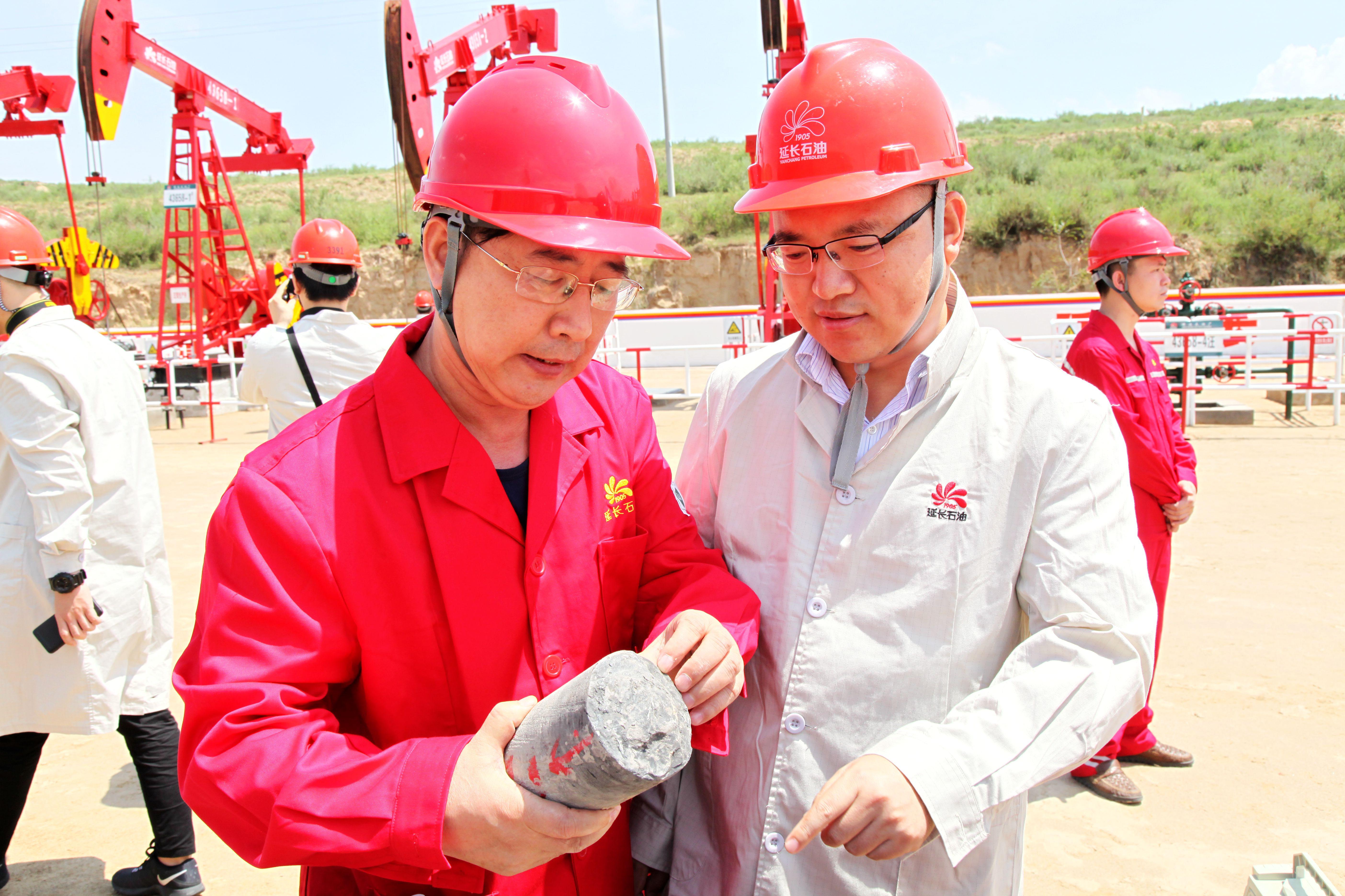 全球能源市场风向标，最新原油变化率深度解析