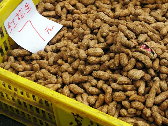 河南花生米最新价格及市场走势与影响因素分析