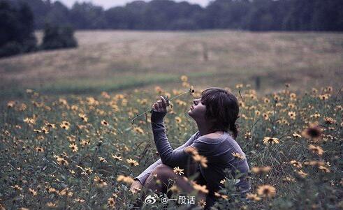 性8最新地址，一场心灵旅行的冒险探寻