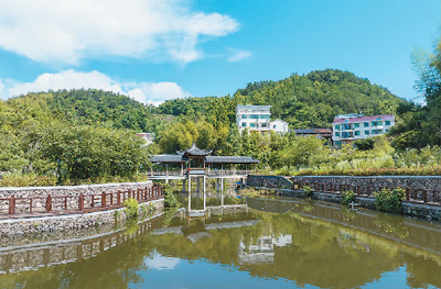 夏邑新闻探索自然美景之旅，寻找内心的平和绿洲最新消息