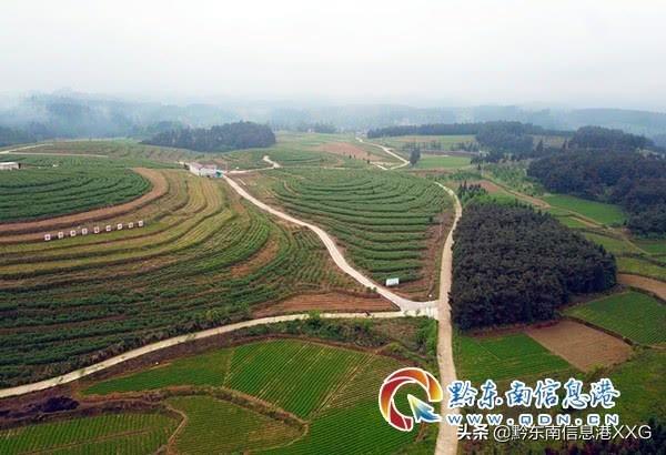 黄平谷陇高速最新动态更新，最新消息汇总
