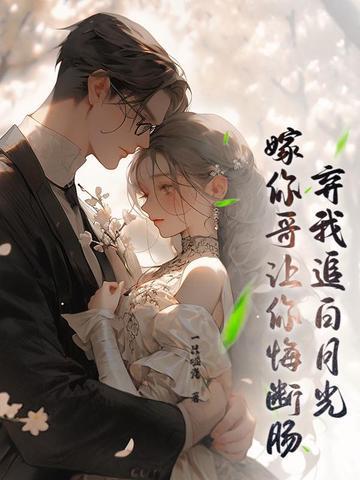 靳乐司沁小说最新结章，蜕变之力与学习之魅力