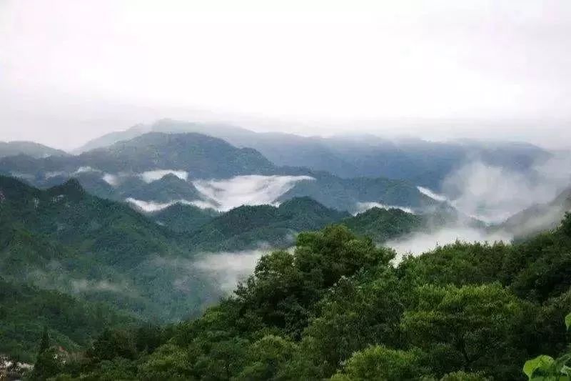 灵台县门户网最新留言，自然美景探索之旅启程