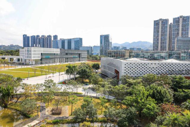 南方科技大学最新新闻，多维视角下的创新与发展