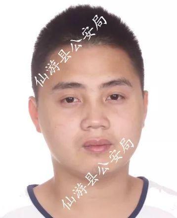 岗位详览与求职观点论述