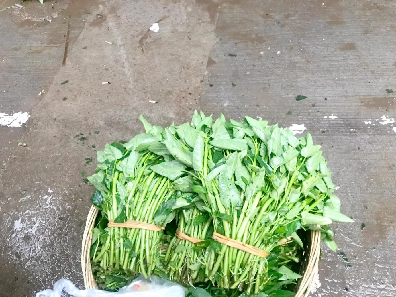 大足龙水新城最新动态更新，最新消息一览