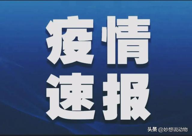 内蒙古疫情最新动态与应对指南，从新增病例到进阶防护建议