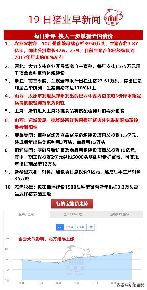 猪市行情最新动态更新，市场走势分析