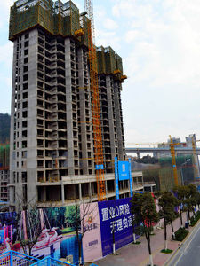 家的温馨与友情的绽放（或可简化为“温馨家园与友情”）