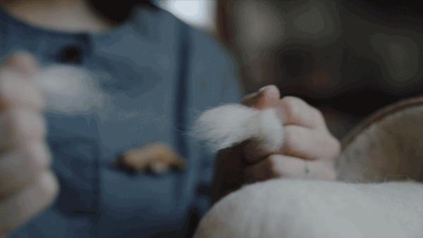 玩偶