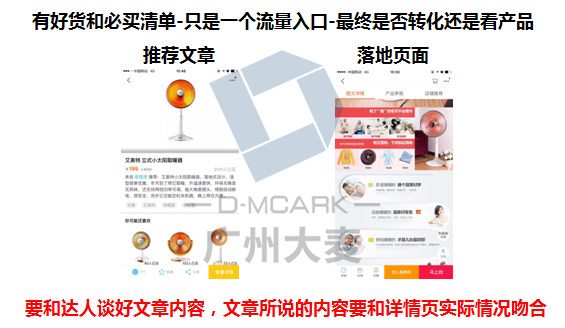 家庭与爱的纽带