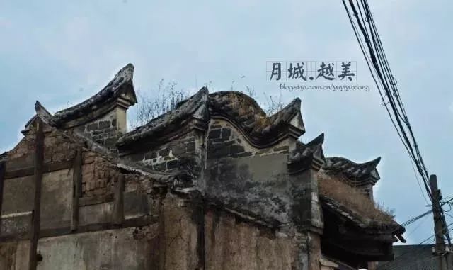 神秘小店背后的真相探索