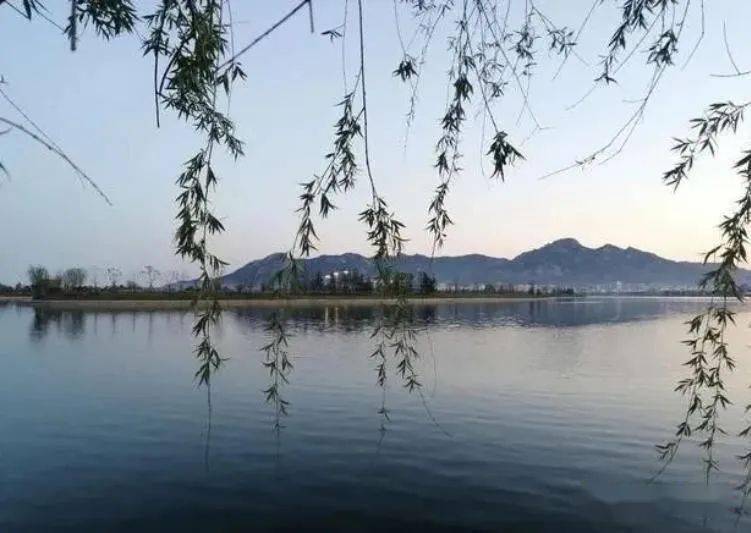石岛凤凰湖最新动态更新