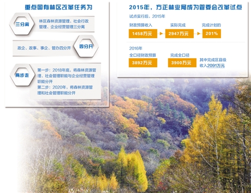 国有林区改革最新动态，详细步骤指南与最新消息解读