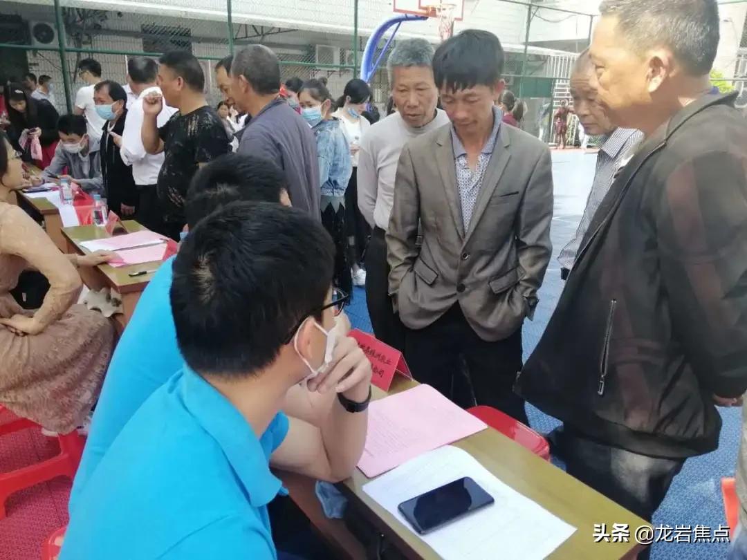 临城县最新招聘信息概览与观点论述