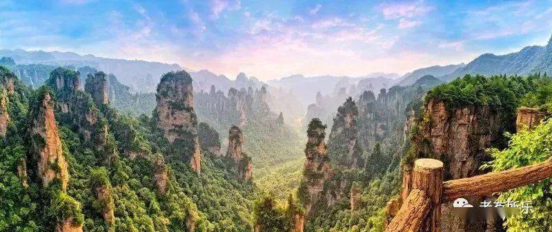 张逸杰最新图片，自然美景的探索之旅独家呈现！