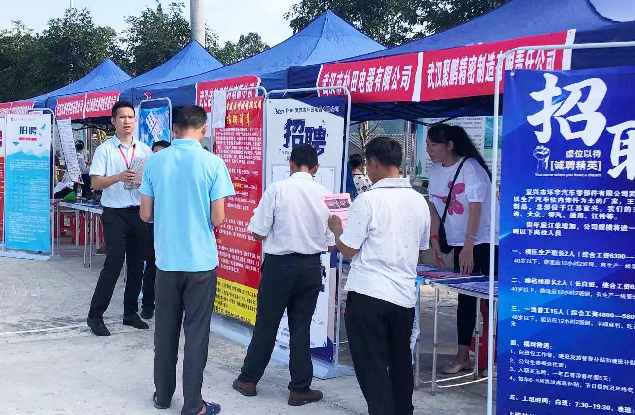 来凤最新招聘信息，职场与友情的交织故事