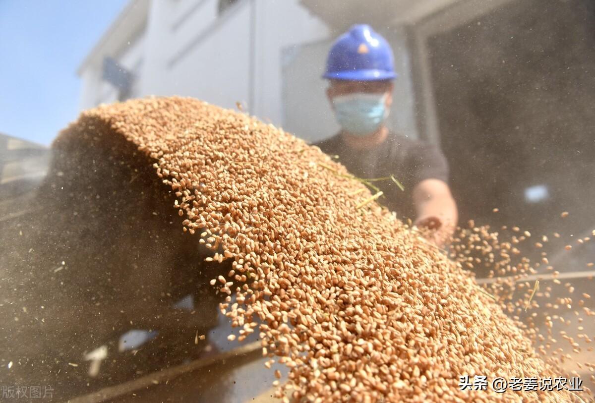行情深度论述与分析