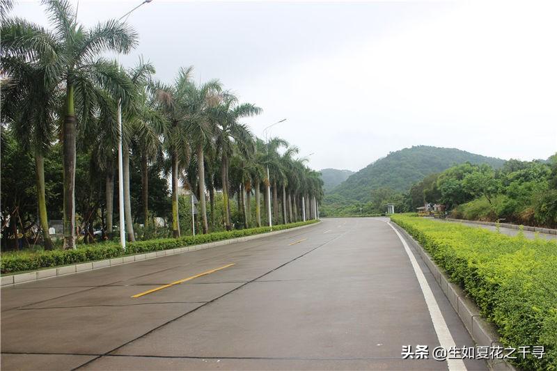 小巷深处招聘启事