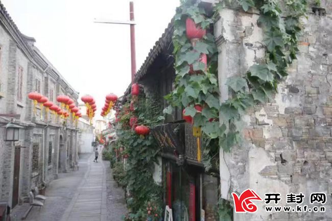 小巷深处的独特环境宝藏