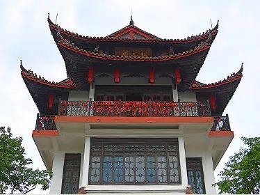 沙河股份最新动态深度解析与观点阐述