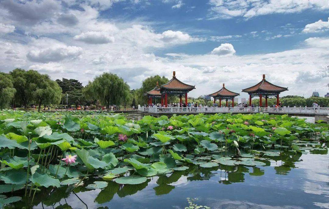 最新秒贷口子，踏上一场自然美景的心灵之旅启程