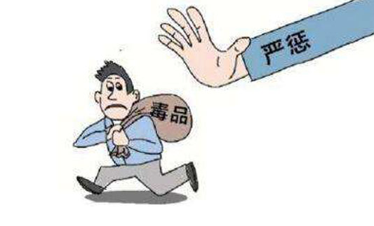 社会现象深度剖析