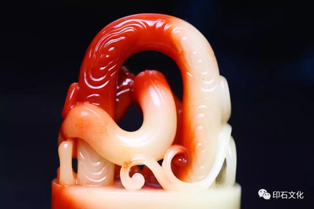 神武答题器最新版