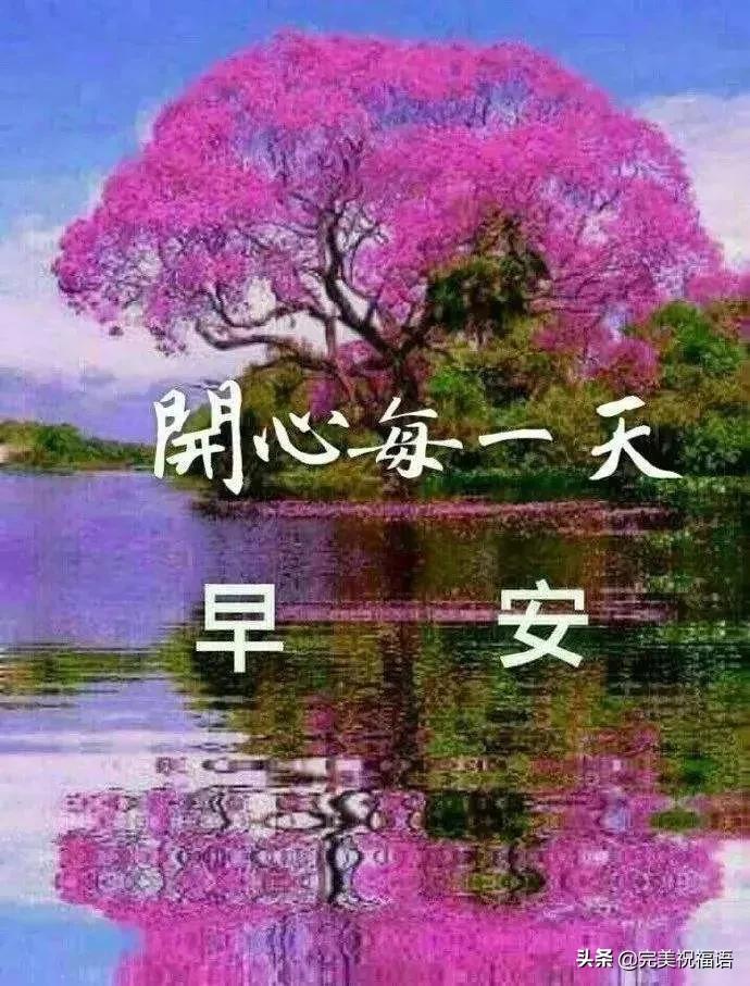 时代变迁中的温暖交流，最新问候语汇总
