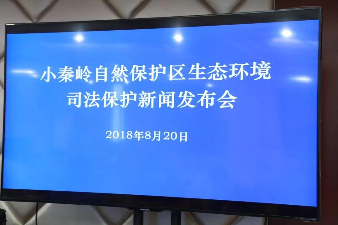 灵宝最新新闻及获取指南