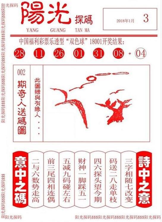 最新阳光探码图，一段温馨有趣的日常故事展开