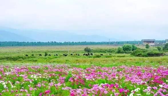 色花堂最新，自然美景探索之旅，追寻内心的平和与喜悦
