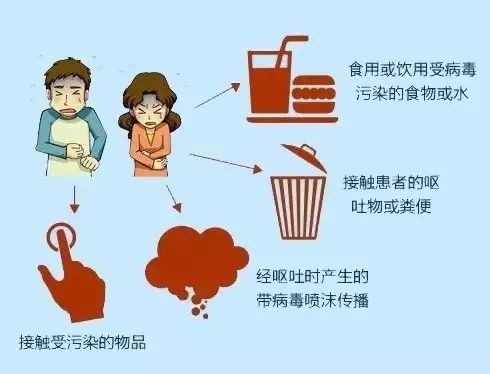 自然美景与内心探索之旅（或自然美景中的内心平和之旅）