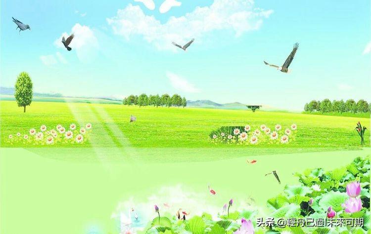 大主宰最新章节阅读，自然美景探索之旅