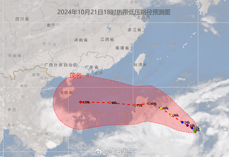温馨日常故事报道