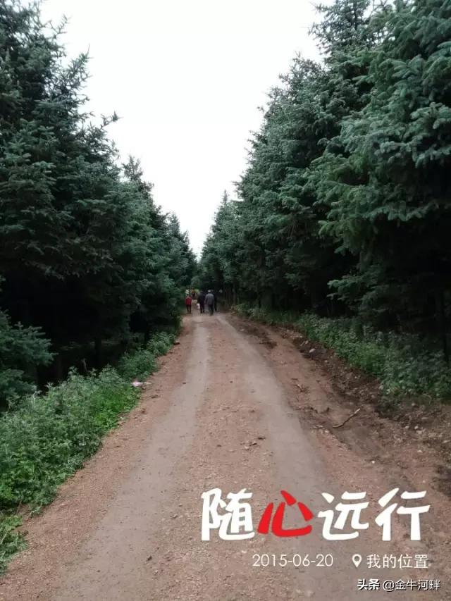 股神林园的心灵与自然的奇妙之旅最新消息