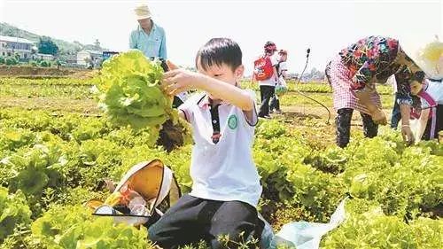 兴起行业探索与体验