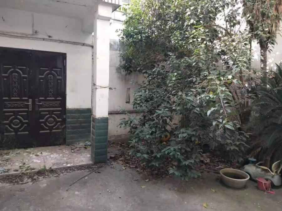 市场现状与前景分析