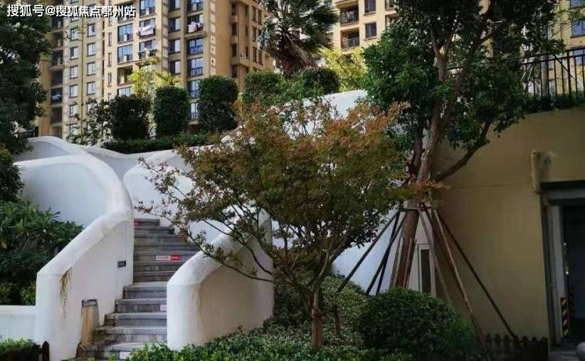 涡阳都市花园最新动态，自信与成就感的绽放