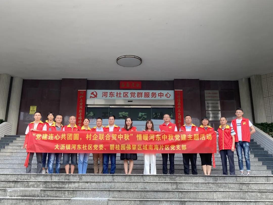 大沥碧桂园华府最新价格及市场走势多元观点分析