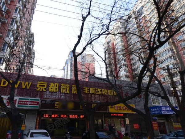 友情的纽带与家的温馨故事