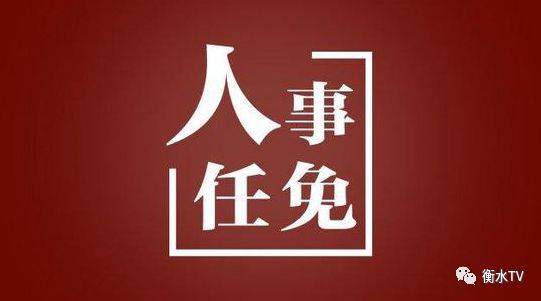 衡水最新人事任免消息发布🎉📜