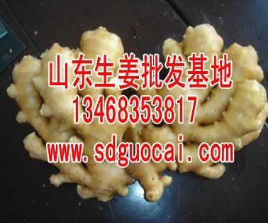 HDPE塑钢缠绕管 第425页