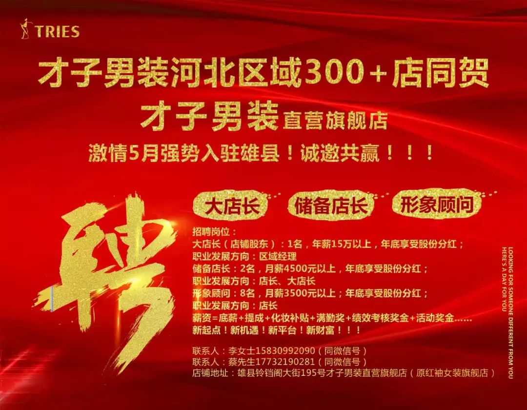 平谷最新招聘信息揭秘，小城求职奇遇与友情纽带探索