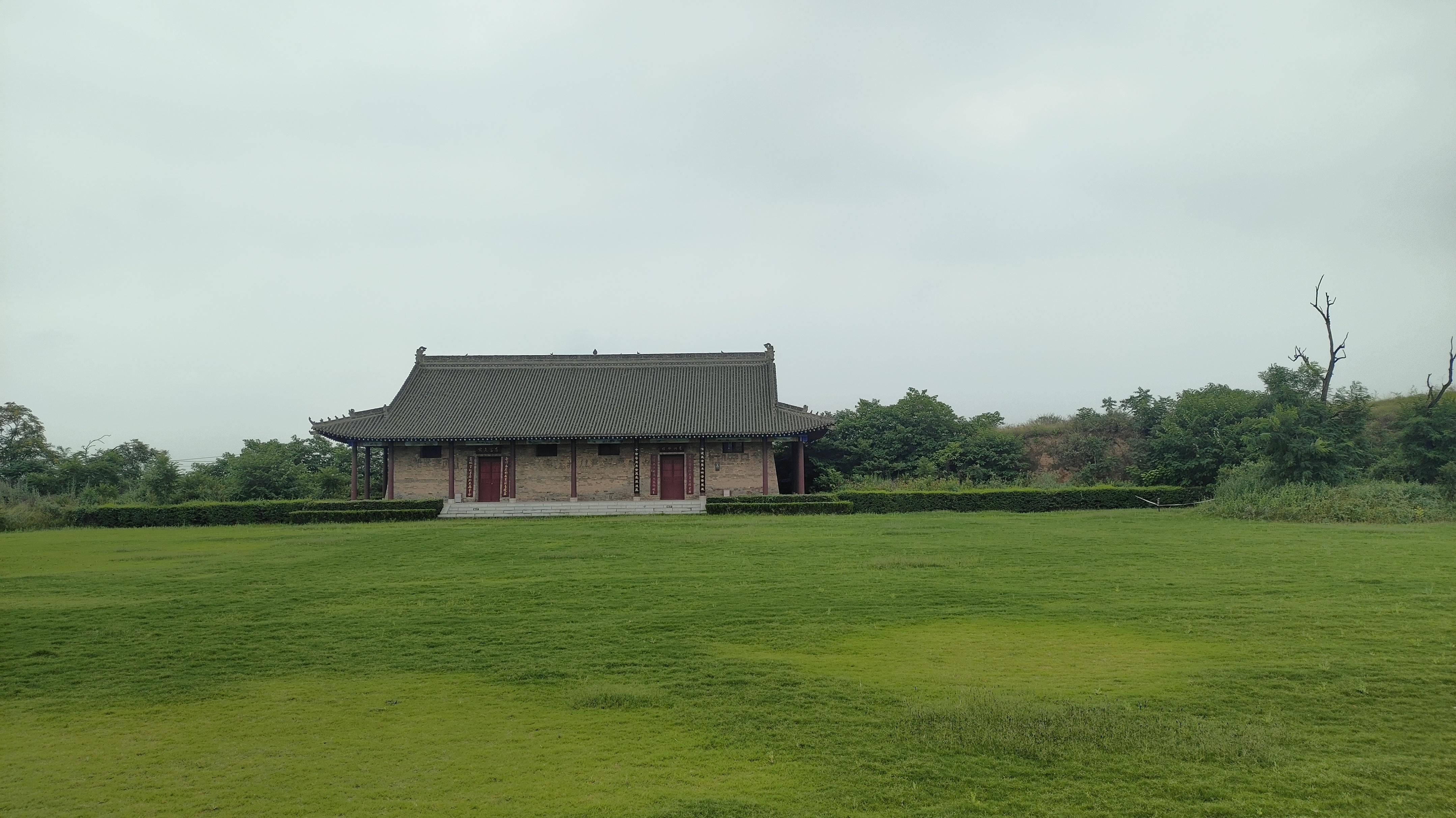 大荔县最新新闻，拥抱自然，心灵宁静之旅启程