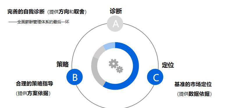 深度分析与要点解析