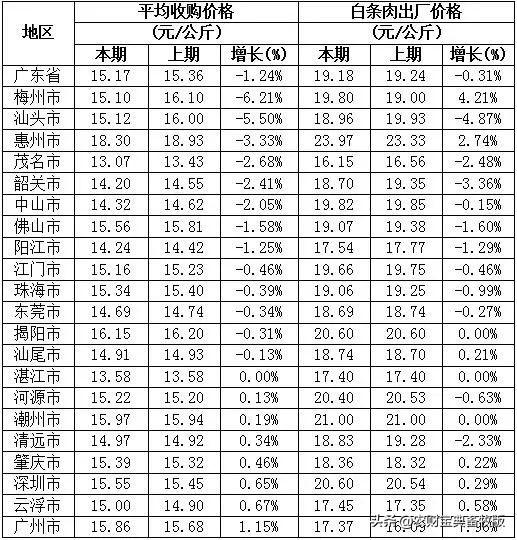 鸡价动态