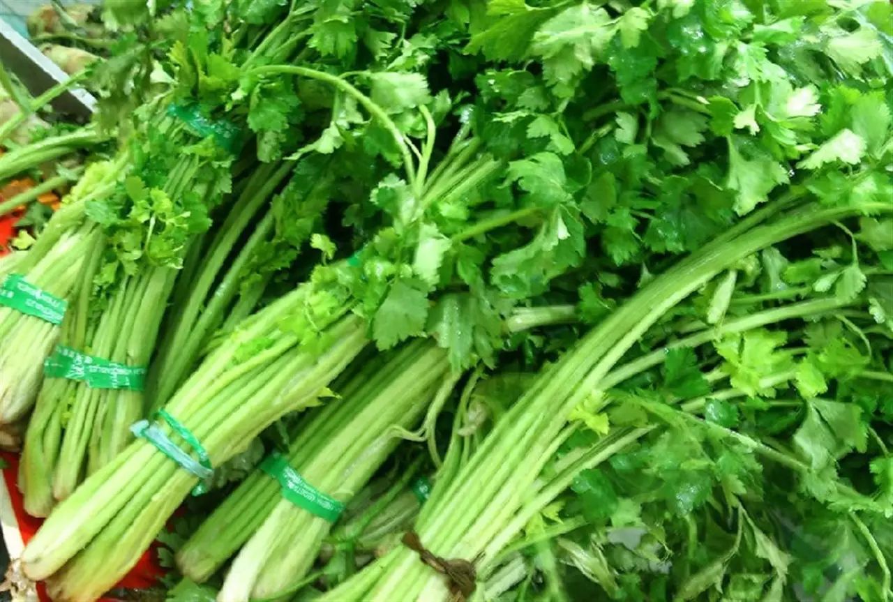 芹菜批发价格